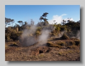 Kilauea Steam_2013